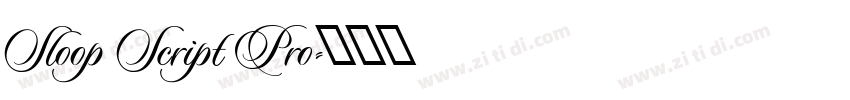 Sloop Script Pro字体转换
